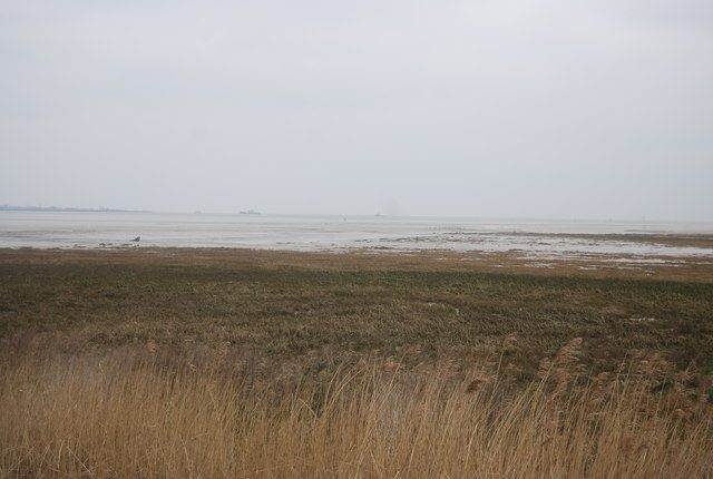 Las marismas de la Bahía de Cádiz, un paisaje único cerca de Chiclana de la Frontera
