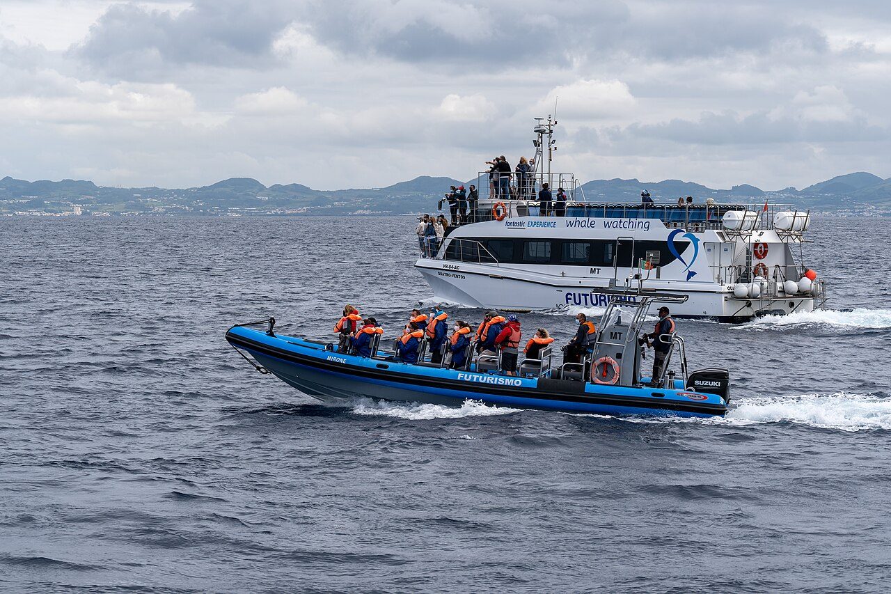 El avistamiento de ballenas es una de las excursiones estrella cerca de Angra do Heroísmo