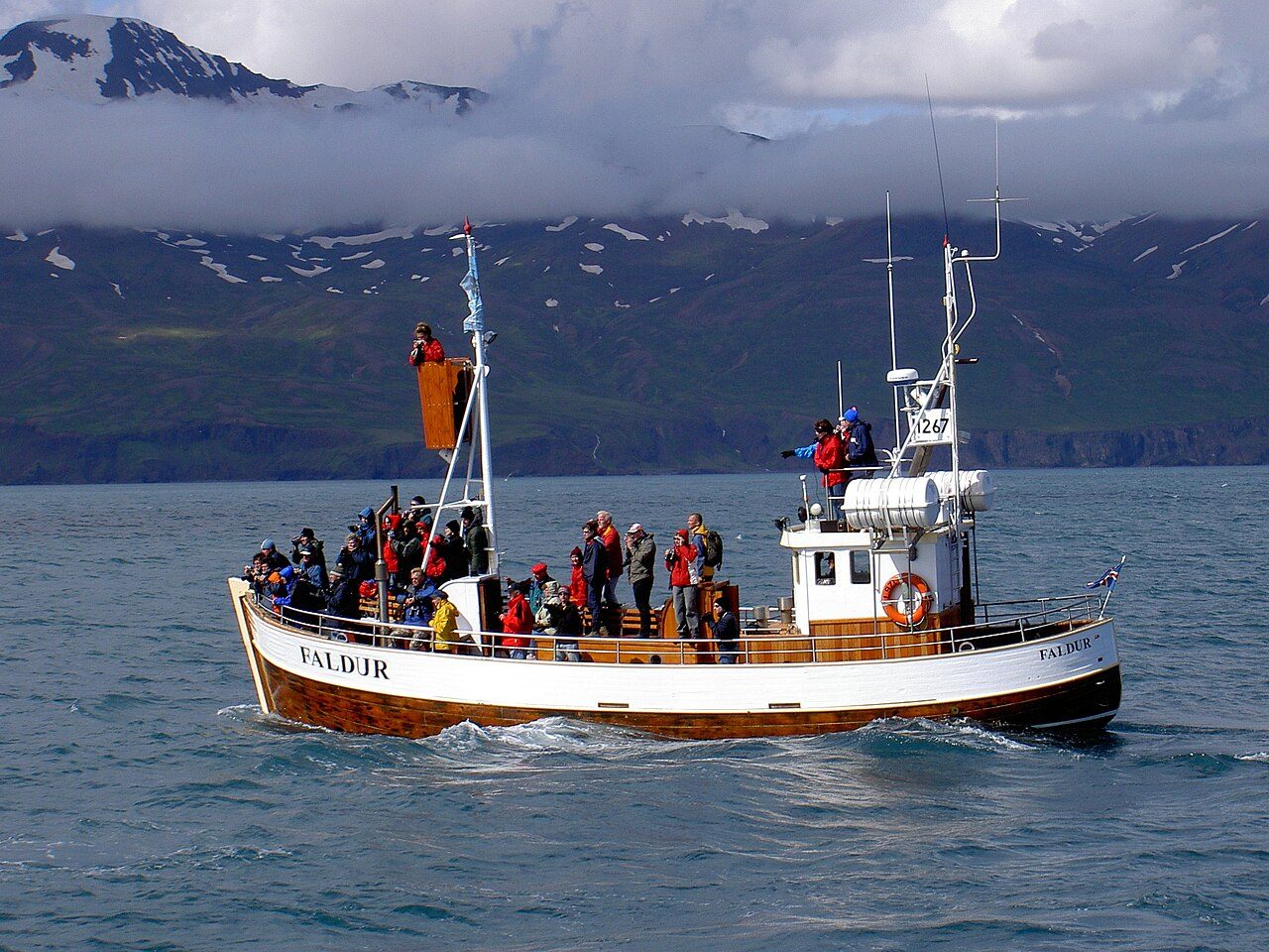 Avistamiento de ballenas en Húsavik, el imprescindible del norte de Islandia