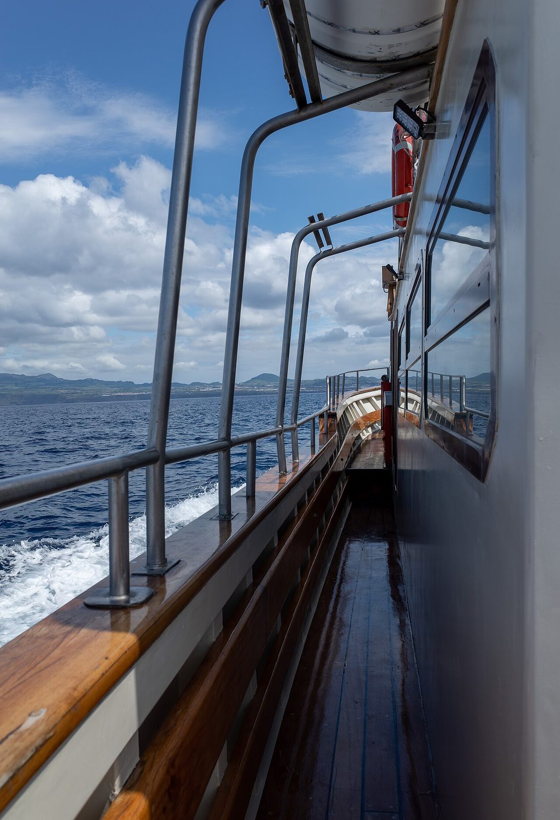 El avistamiento de ballenas, una de las mejores experiencias cerca de Ponta Delgada