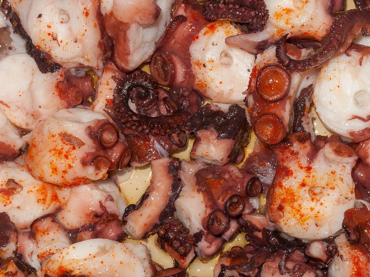 Pulpo, empanada y marisco: la gastronomía de La Coruña en una barra.