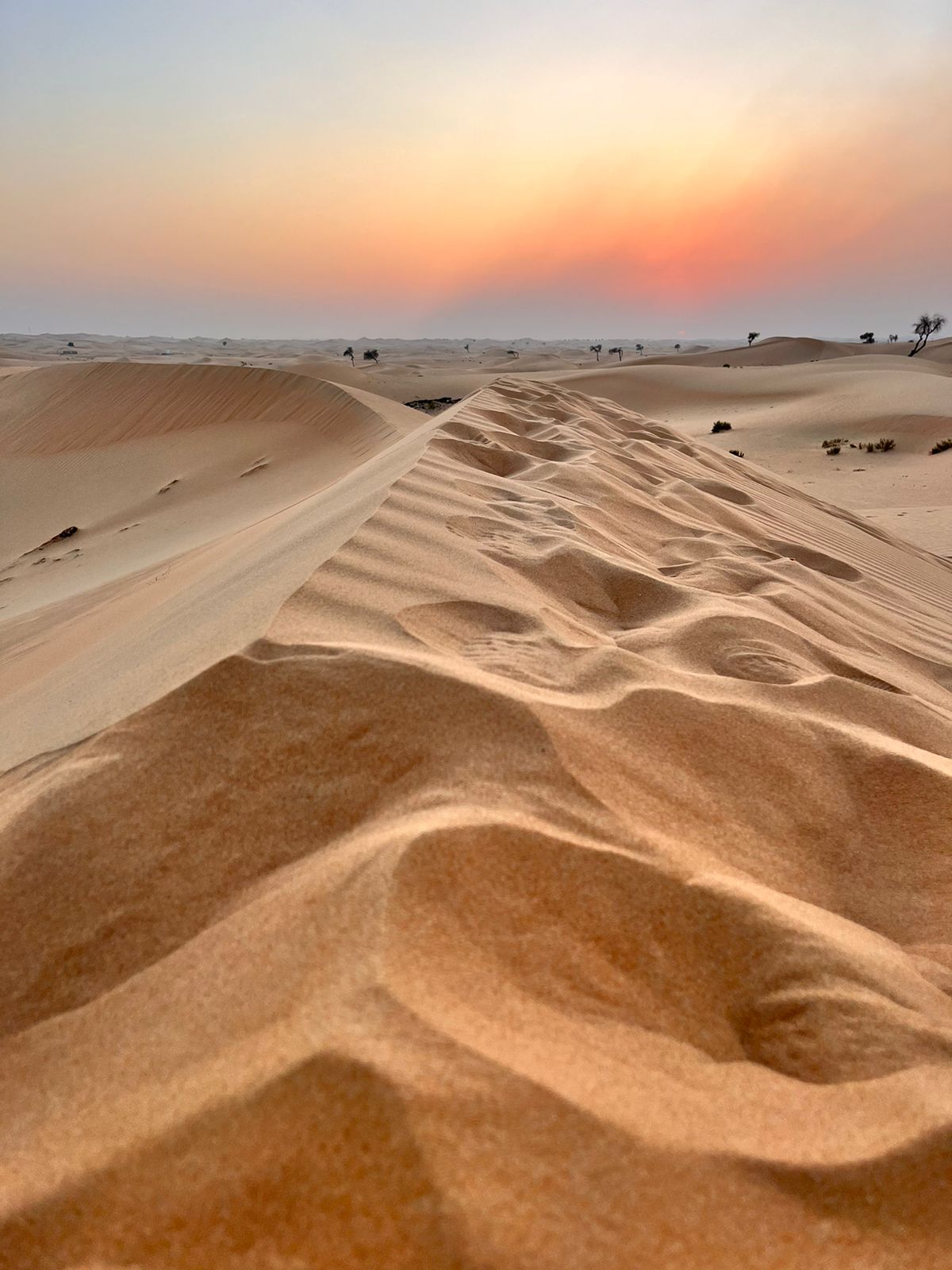 Las dunas al sur de Abu Dhabi al caer la tarde, primer contacto con el desierto emiratí.