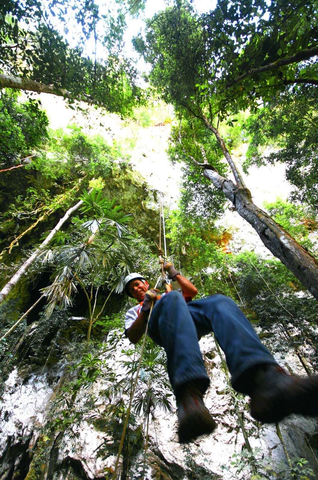 La selva del sur de Belice, entre cascadas y reservas de fauna.
