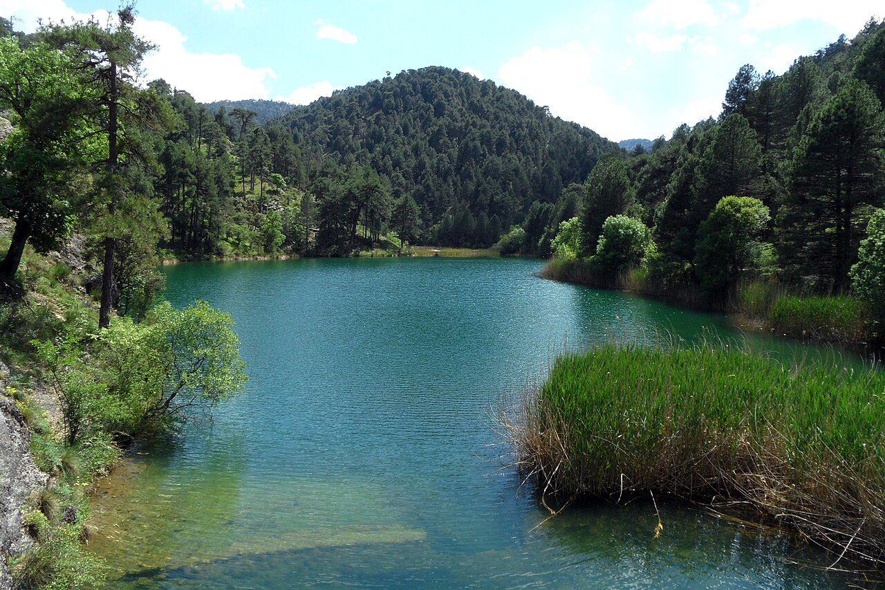 El río Borosa a su paso por el Parque Natural de las Sierras de Cazorla.