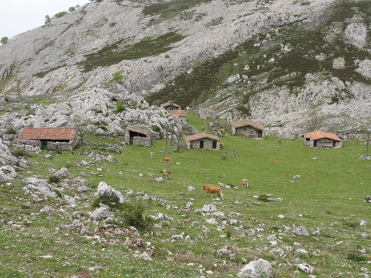 Los Lagos de Covadonga, el día grande de montaña de la ruta.