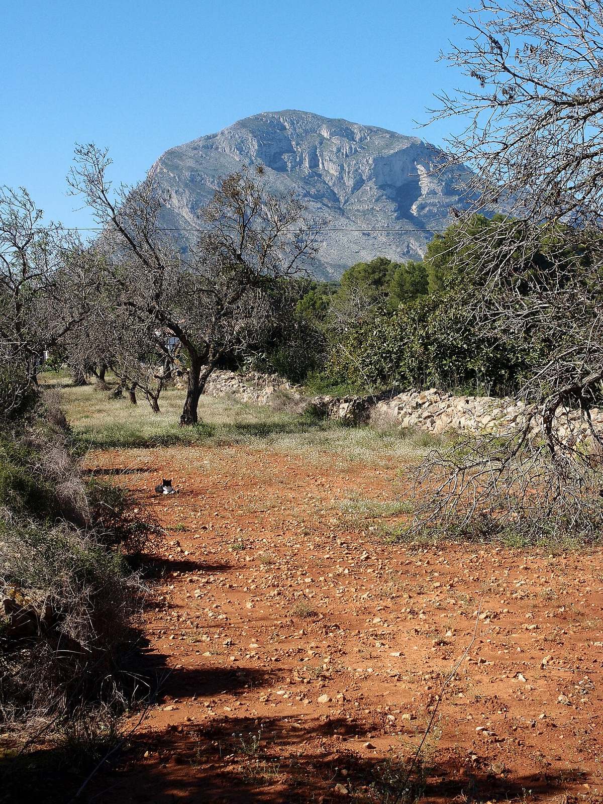 El macizo del Montgó cerrando la ruta sobre la costa norte de Alicante.