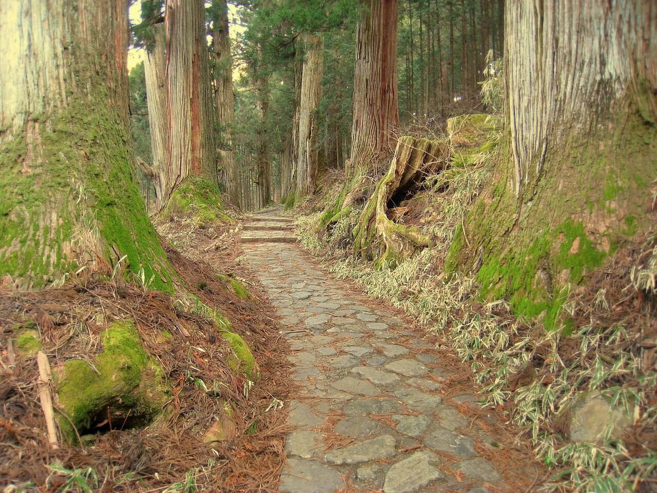 Los bosques de cedros de Nikko marcan el tono natural de toda la ruta.