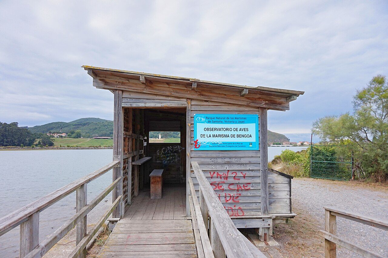Las marismas de Santoña, uno de los humedales con más aves del norte de España.