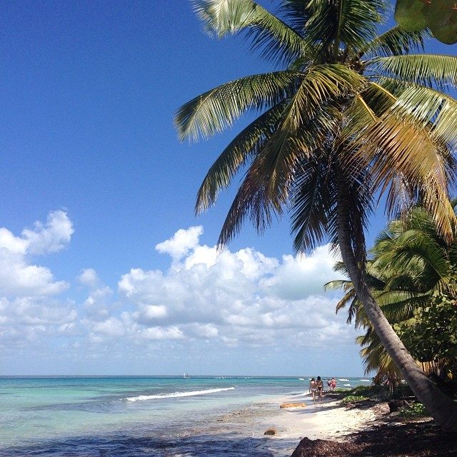 Las piscinas naturales de Isla Saona, uno de los grandes clásicos del este dominicano.