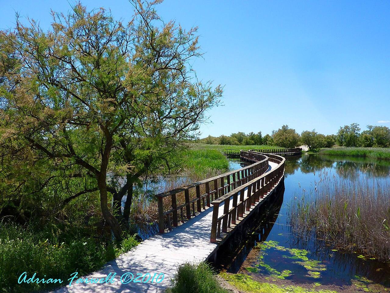 El humedal de las Tablas de Daimiel, corazón de esta ruta de naturaleza manchega.