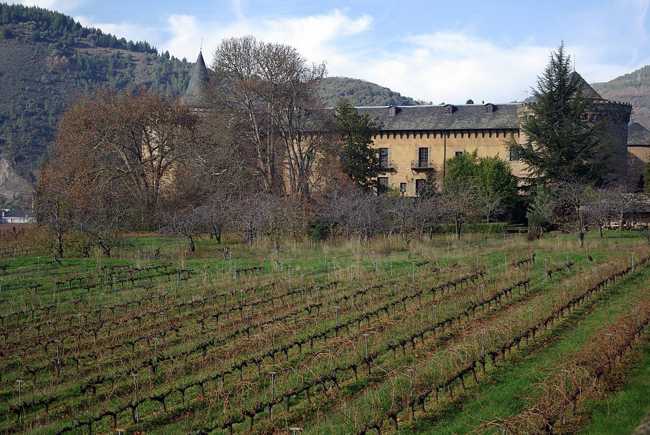 Viñedos del Bierzo, corazón de la ruta del vino por León.