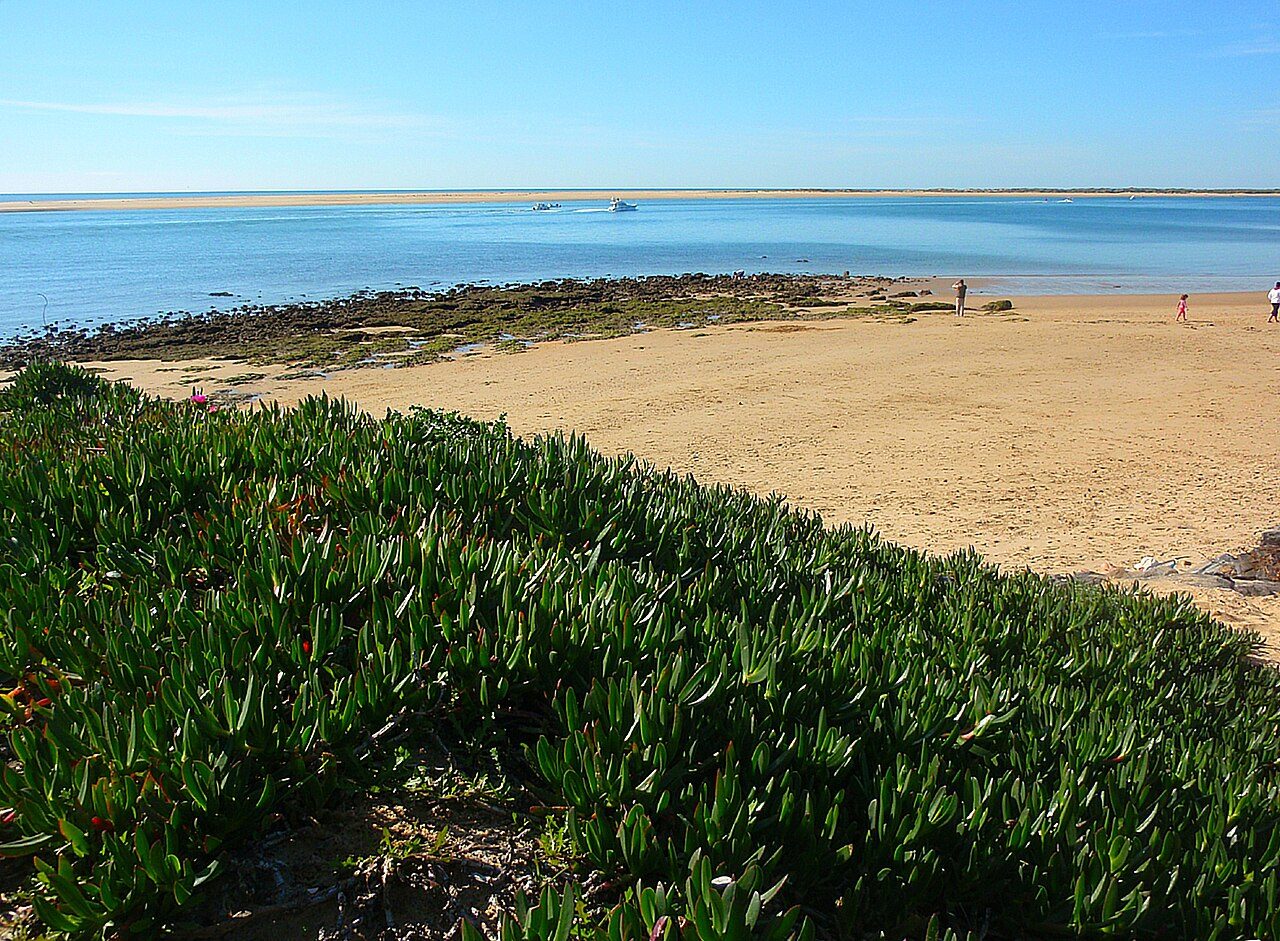 La Costa de la Luz onubense, de arenales dorados y marismas.