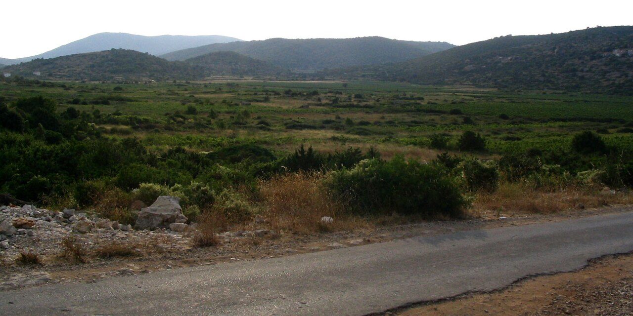 Viñedos frente al Adriático, la estampa que define esta ruta del vino por las islas dálmatas.