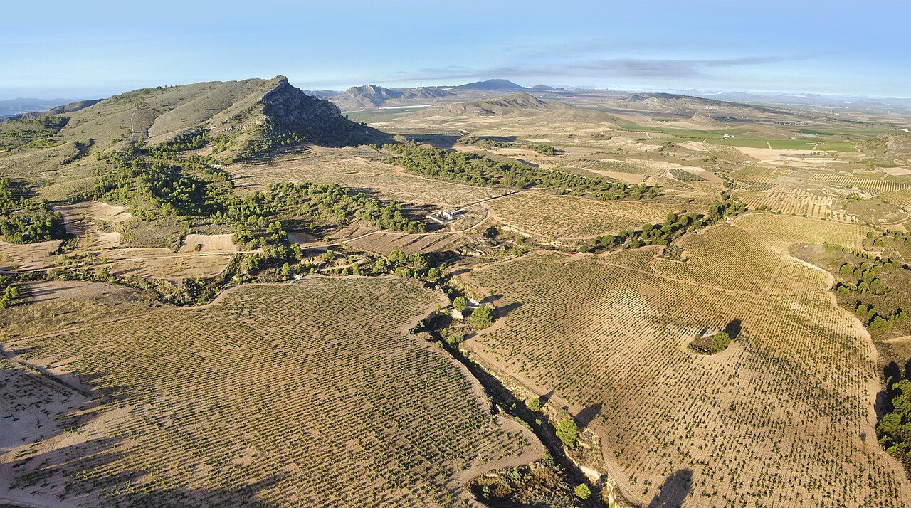 Viñedos de Monastrell en el noroeste de Murcia, dominio de la DO Bullas.