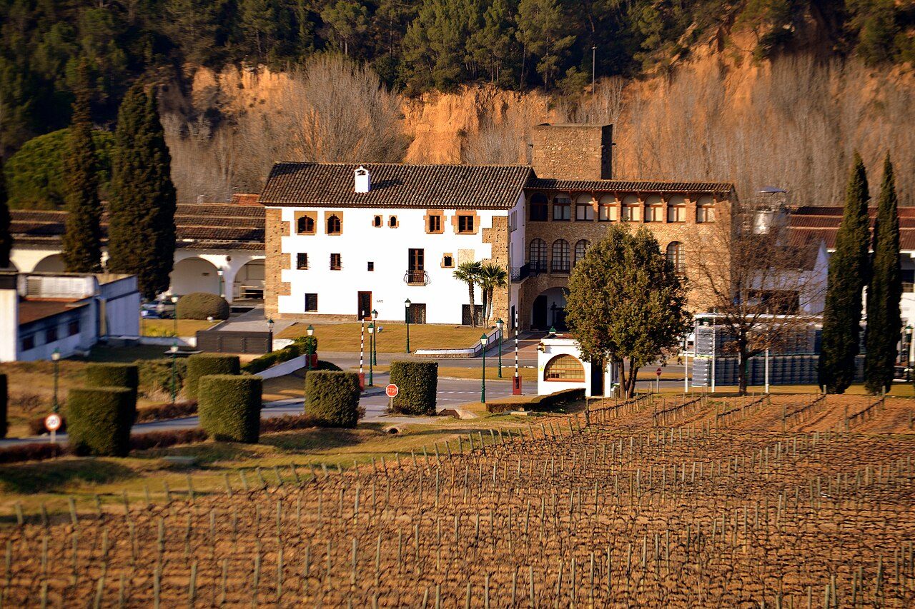Los viñedos ondulados del Penedès, corazón del cava catalán.