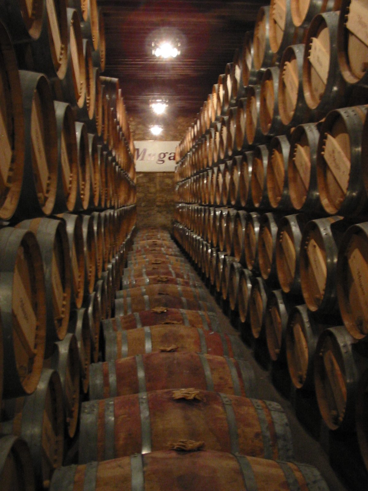 Las bodegas, una de las grandes experiencias que ver en Logroño y su entorno