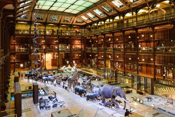 El Museo de la Evolución Humana, uno de los museos clave que ver en Burgos